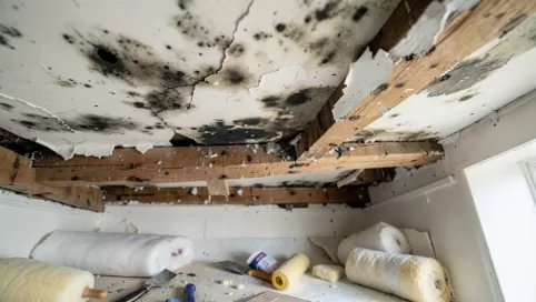 Koszt Remontu Zalanego Sufitu